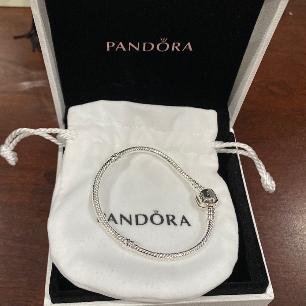 Pandora moments snake chain bracelet